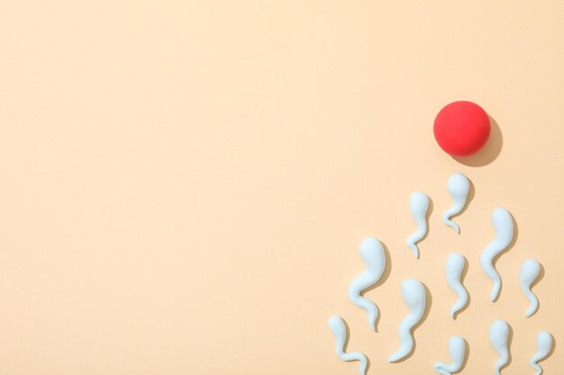 Concepto de fertilización período de ovulación esperma y óvulo