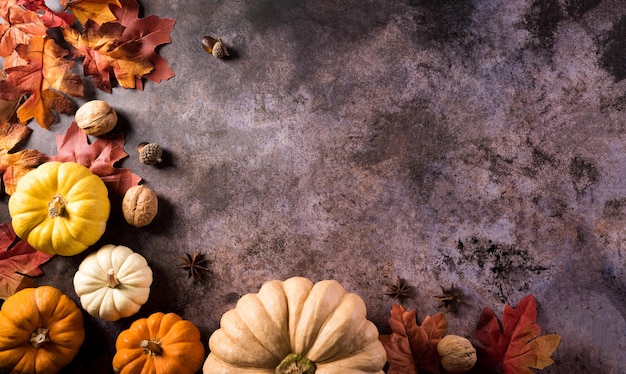 Concepto de fondo de acción de gracias con hojas de otoño, calabaza y decoración otoñal estacional sobre fondo de piedra oscura, vista superior, espacio de copia.