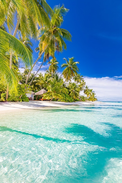 Concepto de fondo de naturaleza Hermoso fondo de playa de verano Paisaje de naturaleza inspirador Trópico