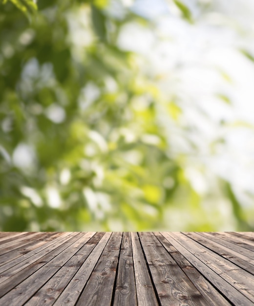 concepto de fondo y textura - suelo de madera y plantas verdes