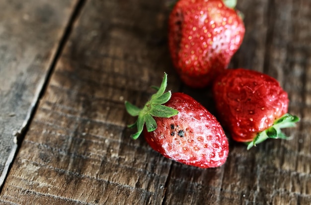 Concepto de fresas podridas gmo