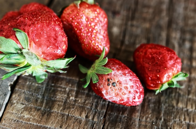 Concepto de fresas podridas gmo