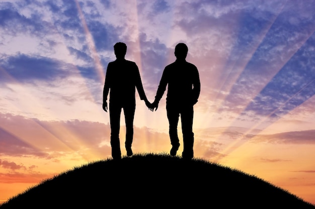 Concepto de gente gay. Silueta de hombres gays felices caminando cogidos de la mano al atardecer