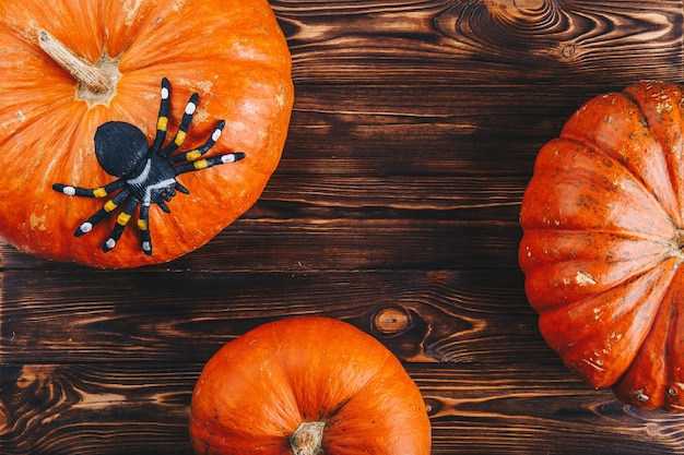 Concepto de Halloween con calabazas frescas y una araña sobre la mesa de madera. Truco o trato vista desde arriba