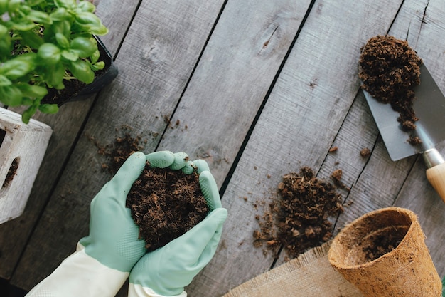 Foto concepto de hobby de jardinería. olla ecológica, planta verde, jardinero manos en guantes, pala sobre fondo de madera plano laical.