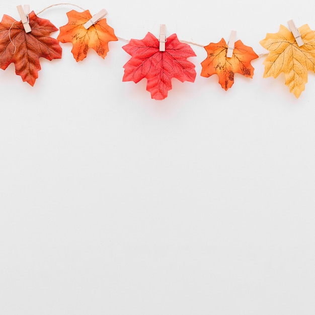 Foto concepto de hojas de otoño colgantes