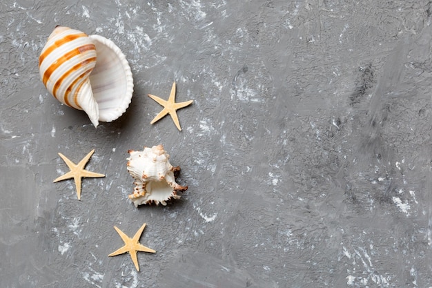 Concepto de horario de verano Composición plana con hermosas estrellas de mar y conchas marinas en la vista superior de la mesa de colores con espacio para copiar texto