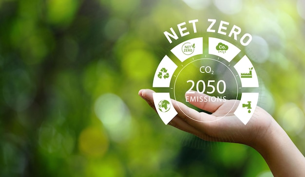 Concepto de icono de emisiones netas cero 2050 en la mano para la ilustración del concepto de animación de política ambiental Tecnología de energía renovable verde para un entorno futuro limpio