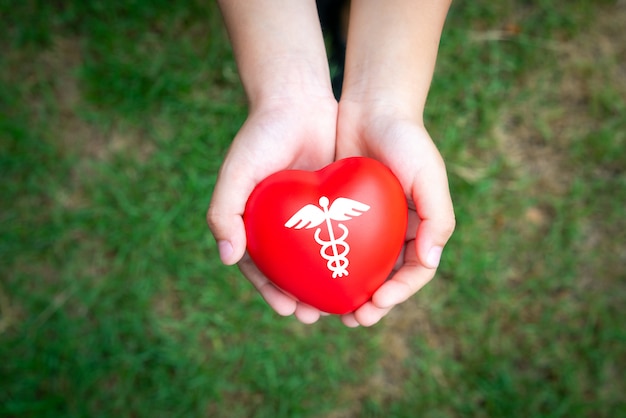 Concepto de icono médico en el corazón de las manos de la familia.