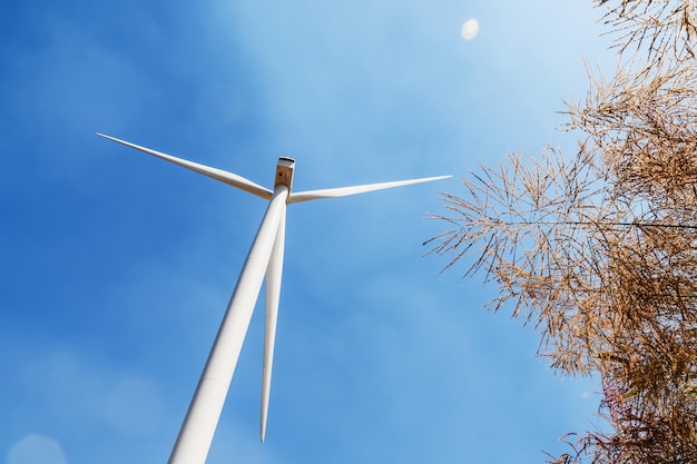 Foto concepto idea energía de energía ecológica. turbina de viento en la colina con el sol