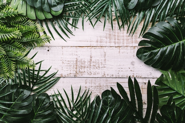 concepto de ideas de verano con borde de marco de hoja tropical