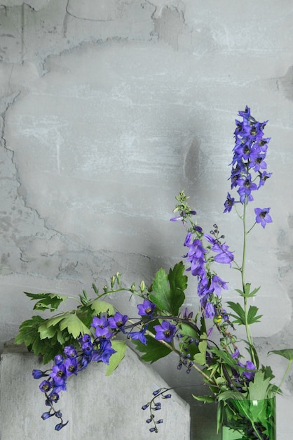 Concepto interior moderno y contemporáneo. Pared vacía del cemento gris y flor violeta púrpura en la tabla. Interior de estilo loft.