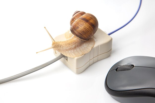 El concepto de internet lento y trabajar con una computadora Snail en el fondo de los cables de Internet y un mouse de computadora