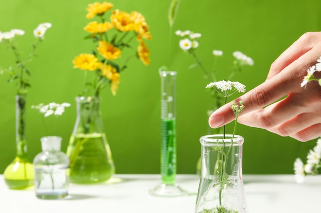 Concepto de investigación en biología y química con flores.
