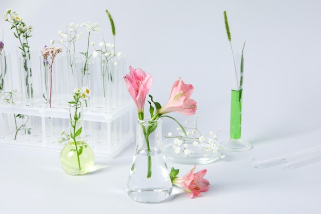 Concepto de investigación en biología y química con flores.