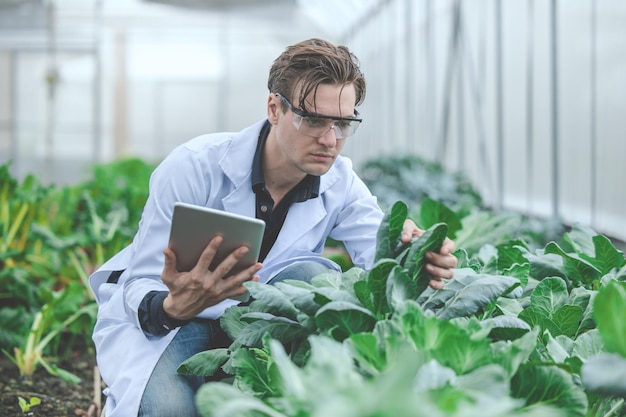 Concepto de investigación y desarrollo de tecnología de ciencia de plantas agrícolas