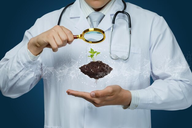 Concepto de investigación y estudio de plantas El médico mira a través de una lupa a Sprout