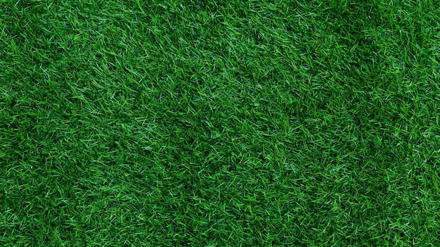 Concepto de jardín de hierba de fondo de textura de hierba verde utilizado para hacer campo de fútbol de fondo verde Hierba Golf patrón de césped verde texturizado backgroundx9