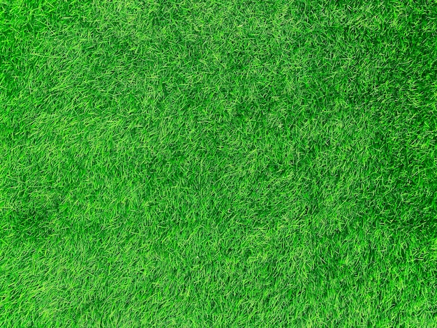 Concepto de jardín de hierba de fondo de textura de hierba verde utilizado para hacer campo de fútbol de fondo verde Hierba Golf patrón de césped verde texturizado backgroundx9