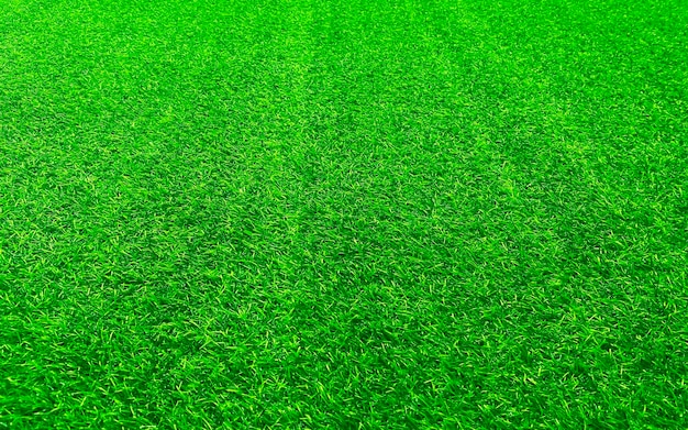 Concepto de jardín de hierba de fondo de textura de hierba verde utilizado para hacer campo de fútbol de fondo verde