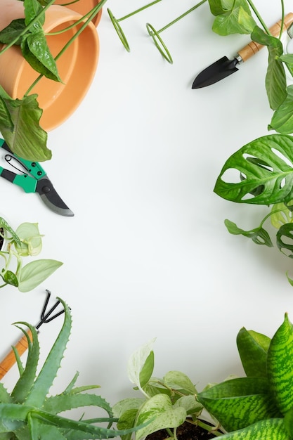 Foto concepto de jardín en el hogar cuidar las plantas en el hogar copiar espacio vista superior