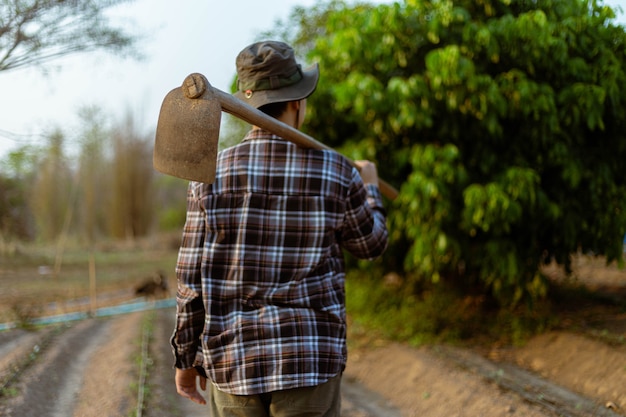 Foto concepto de jardinería un agricultor que lleva una azada sobre su hombro dejando un jardín después de terminar de cultivar los cultivos.