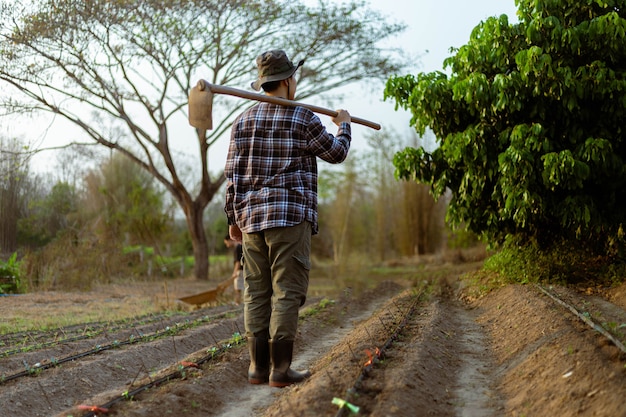 Foto concepto de jardinería un agricultor que lleva una azada sobre su hombro dejando un jardín después de terminar de cultivar los cultivos.