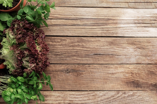 Concepto de jardinería y alimentación saludable con diferentes hierbas y hojas de ensalada sobre fondo de madera