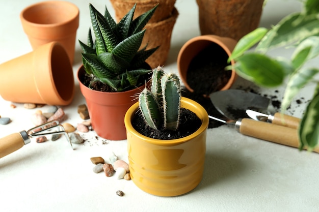 Concepto de jardinería en blanco con textura