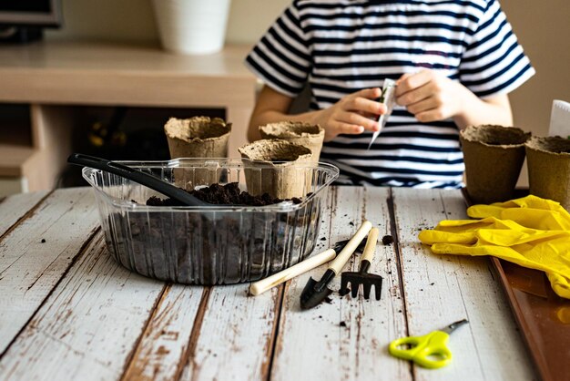 Concepto de jardinería doméstica Un niño en edad preescolar saca semillas y plántulas de plantas en macetas ecológicas de turba