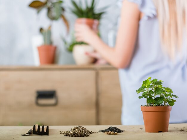 Concepto de jardinería doméstica. Trasplante de plantas. Macetero y herramientas de jardín.