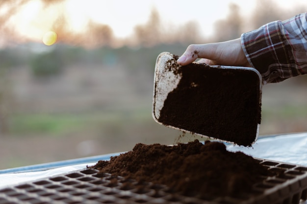 Foto concepto de jardinería dos manos de un jardinero insertando tierra negra rica en bandejas de vivero preparándose para el cultivo de plántulas.