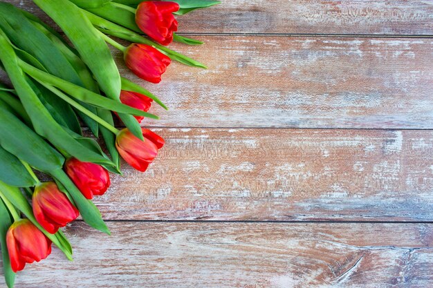 concepto de jardinería, flores, publicidad y vacaciones - cierre de tulipanes rojos sobre fondo de madera