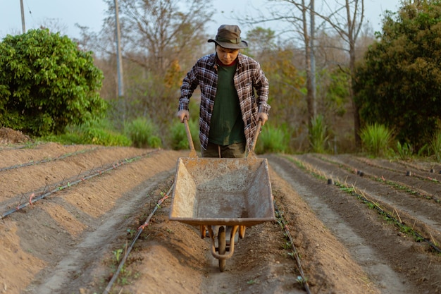 Concepto de jardinería un joven agricultor empujando un carro de jardinería