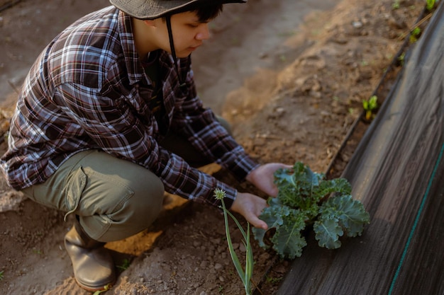 Concepto de jardinería un joven jardinero cuidando una verdura comprobando sus hojas si hay picaduras de insectos.