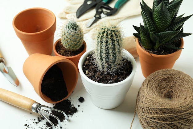 Concepto de jardinería en mesa blanca, cerrar