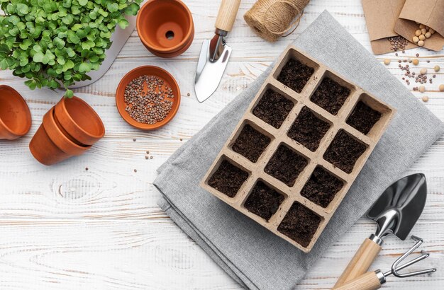 Concepto de jardinería plantando en casa.