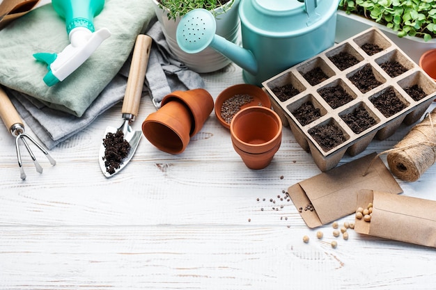 Concepto de jardinería plantando en casa.