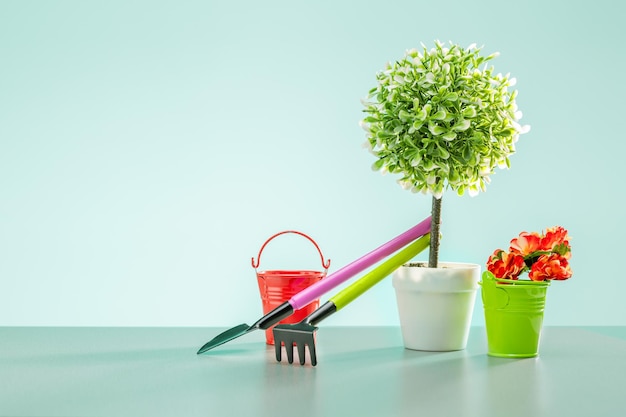 Concepto de jardinería Plantas de decoración en macetas y herramientas de jardín sobre fondo de menta