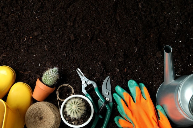 Concepto de jardinería en suelo, vista superior