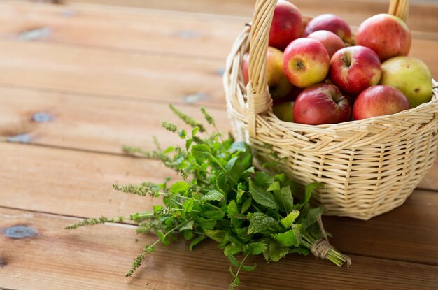 Concepto de jardinería, temporada, otoño, hierbas y frutas: cierre de una cesta de mimbre con manzanas rojas maduras y racimo de melissa sobre una mesa de madera