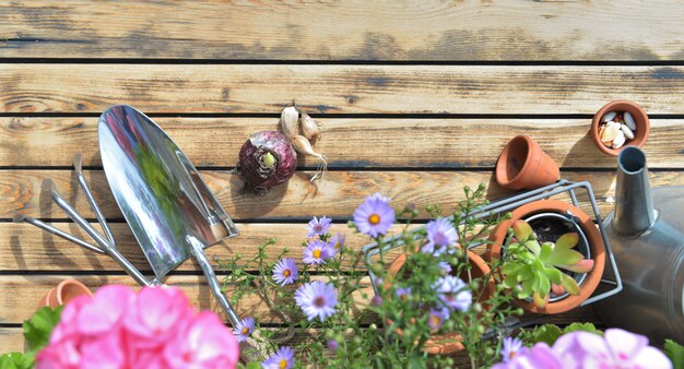 Concepto de jardinería con una vista superior de herramientas metálicas de jardinería en un tablón con flores y bulbos