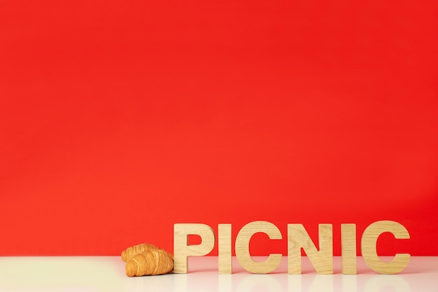 Concepto de maravilloso día de picnic