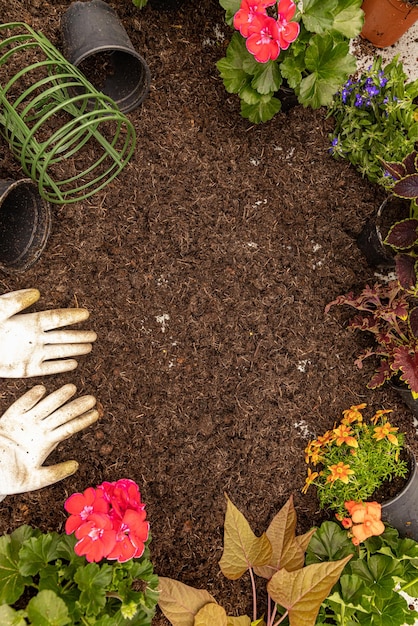 Foto concepto de marco de jardinería