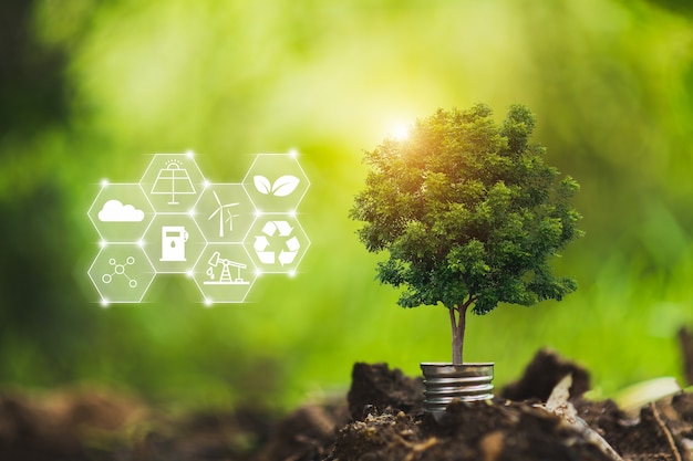 Concepto de medio ambiente y recursos energéticos