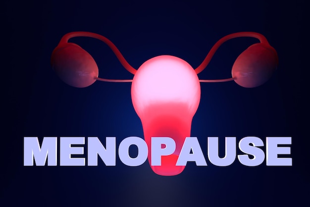 Concepto de menopausia Útero resplandeciente y la inscripción Menopausia en un render 3D de fondo azul