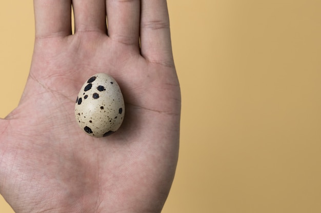 Foto concepto mínimo de huevos de pascua. concepto de fondo de huevo