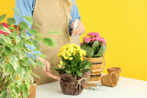 Concepto de mujer de jardinería rociar agua sobre flores