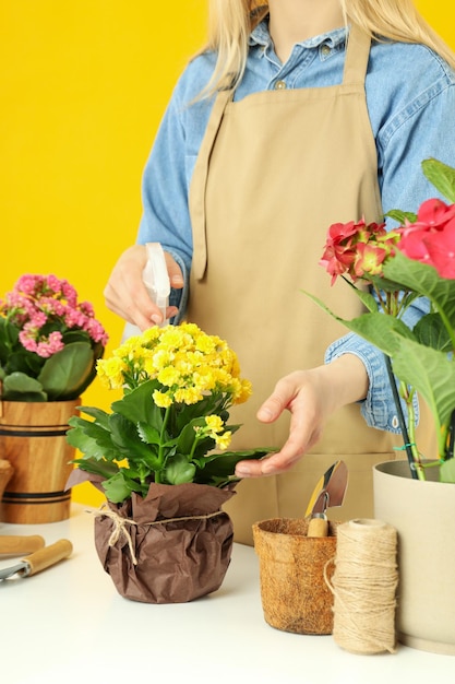 Concepto de mujer de jardinería rociar agua sobre flores