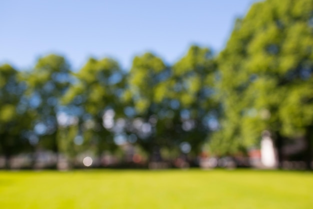 concepto de naturaleza, paisaje, fondo y medio ambiente - campo de verano borroso, árboles y cielo azul bokeh